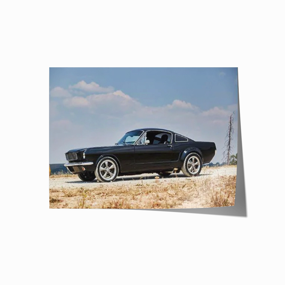 65' Falcon