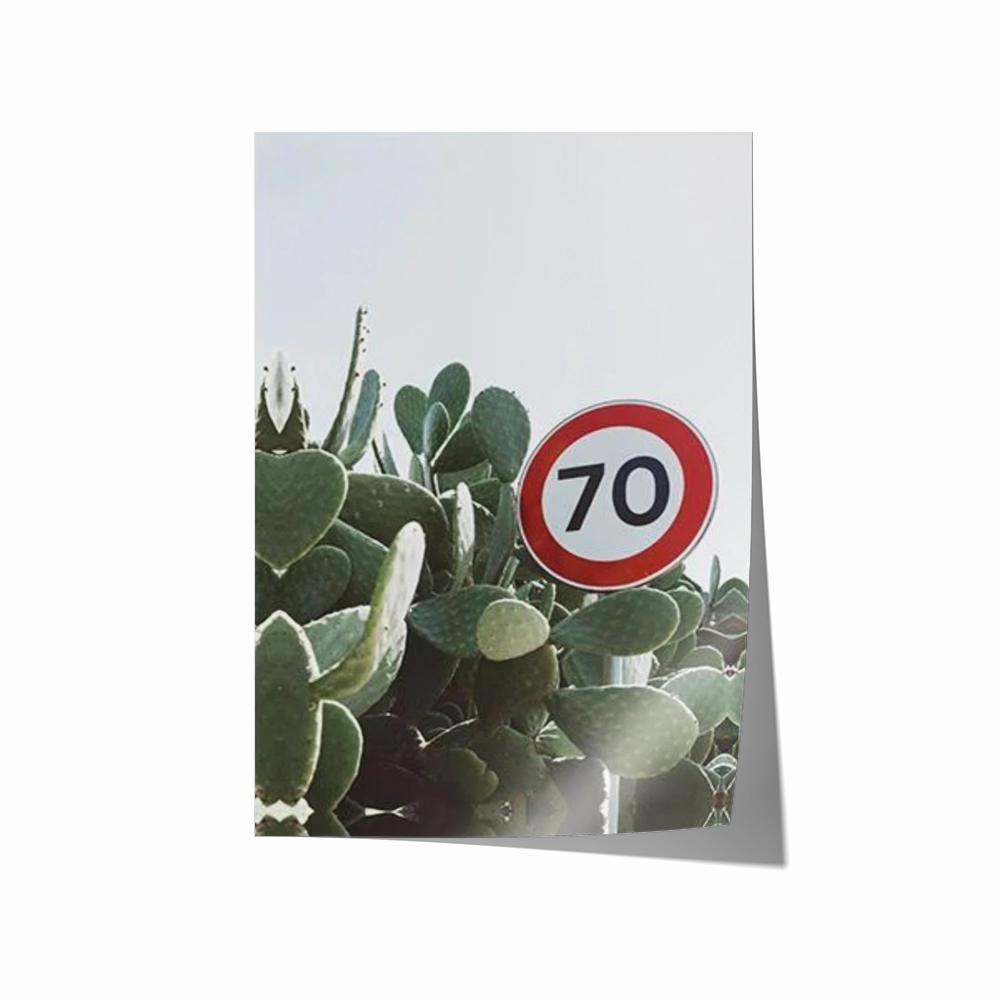 70 Speed