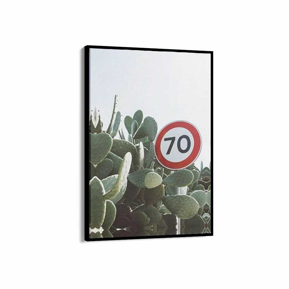 70 Speed