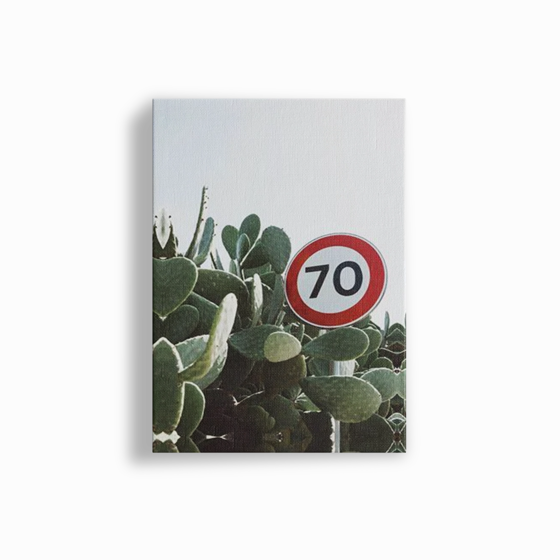 70 Speed