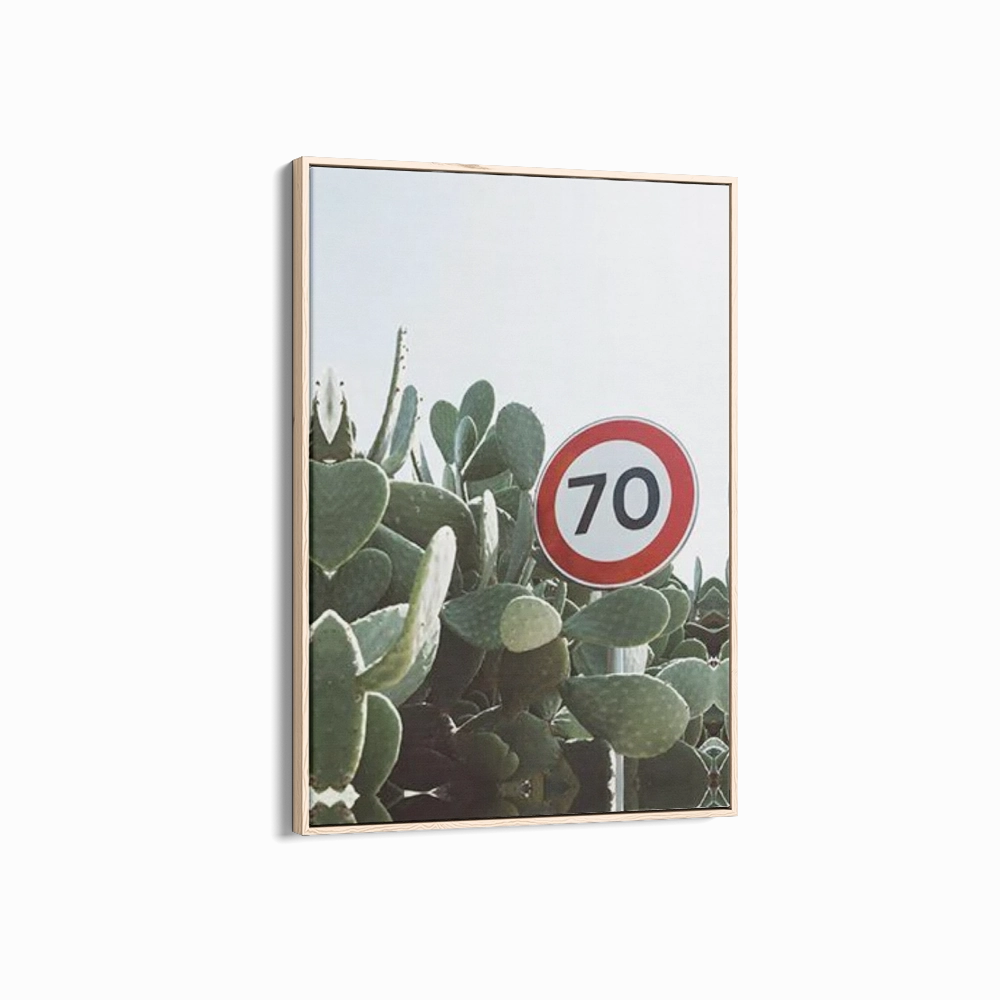 70 Speed