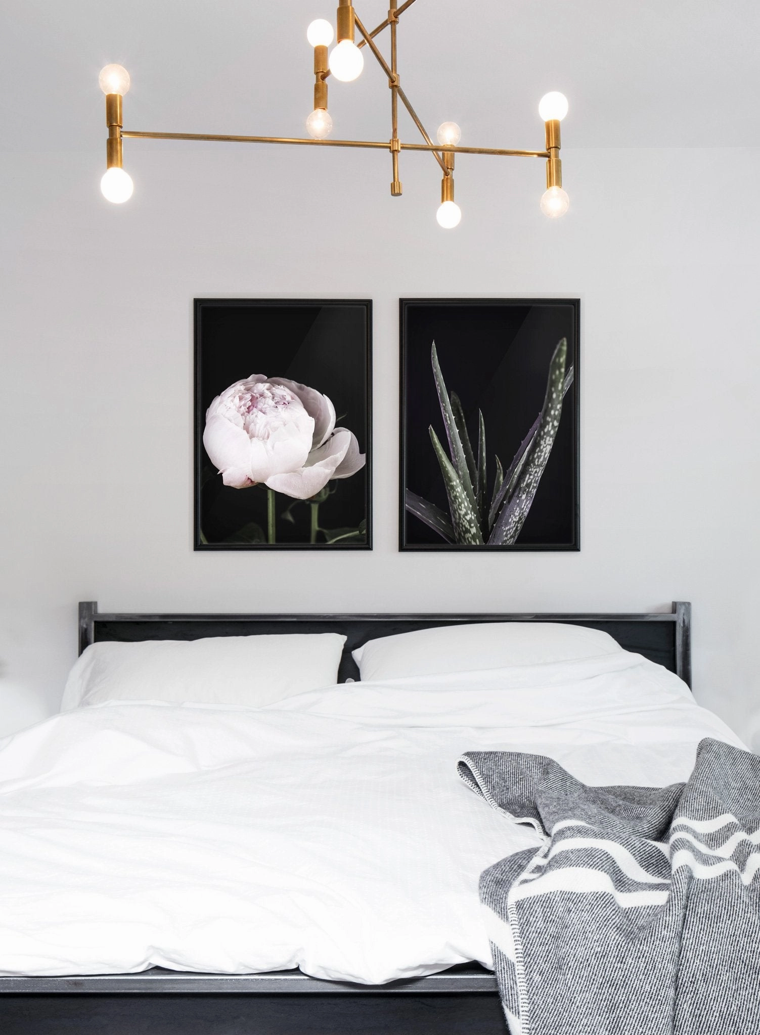 Aloes, Poster
