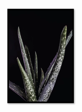Aloes, Posterpop culture themed posters