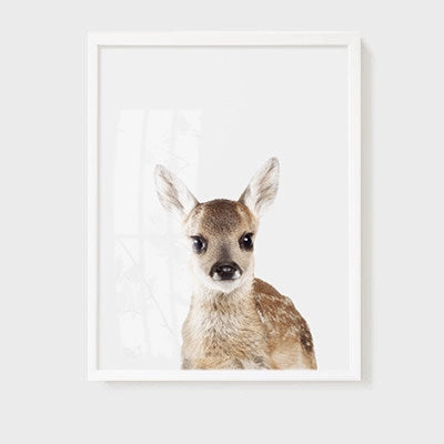 Animal Wall Arts for Kids Room