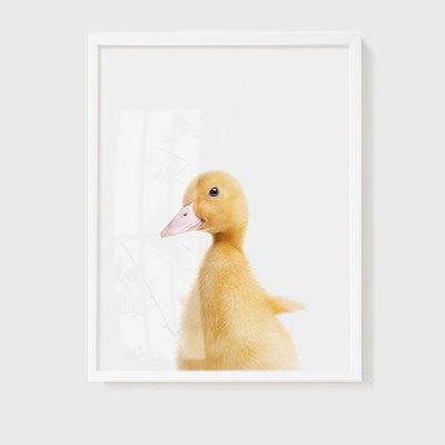 Animal Wall Arts for Kids Room