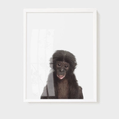 Animal Wall Arts for Kids Room