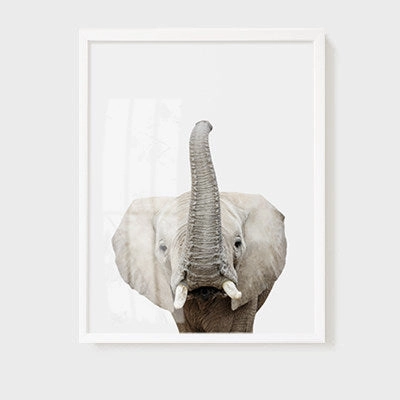 Animal Wall Arts for Kids Room