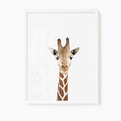 Animal Wall Arts for Kids Room