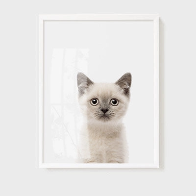Animal Wall Arts for Kids Room