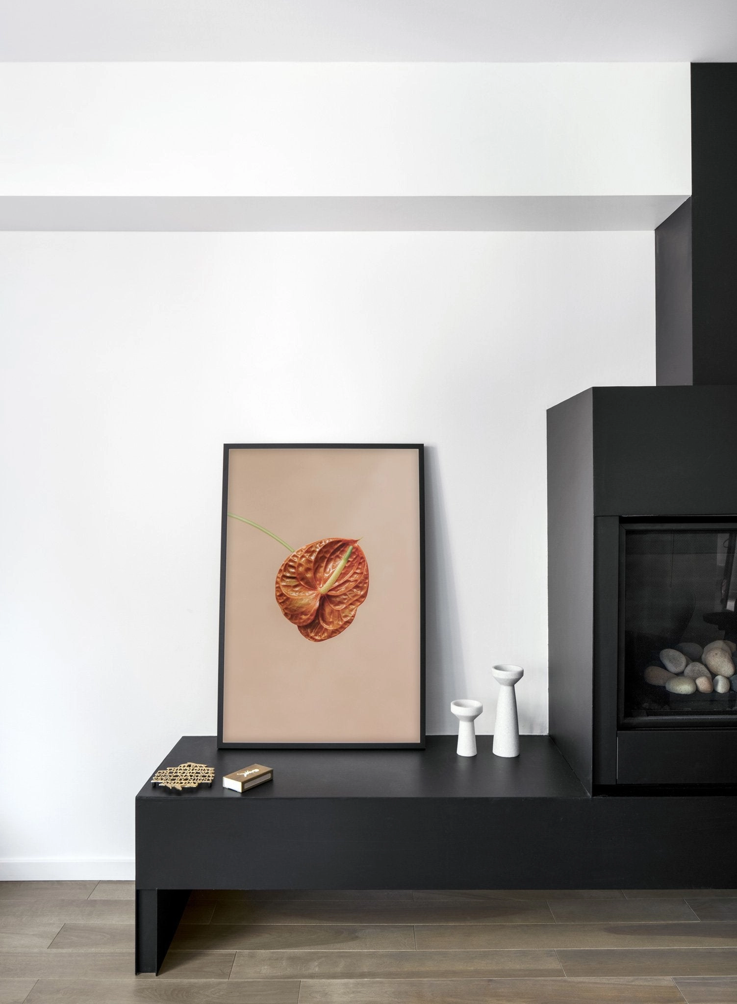 Anthurium, Poster