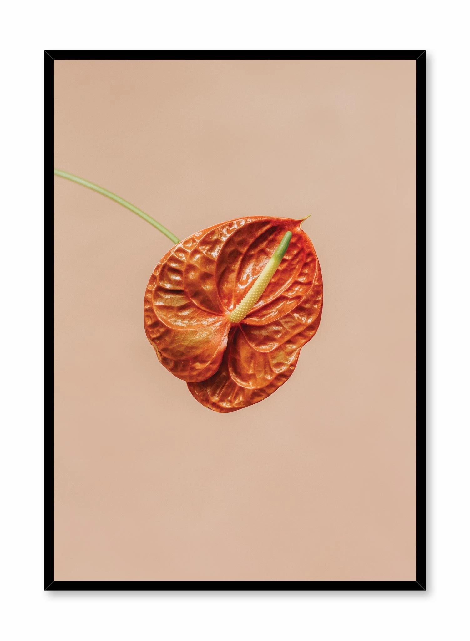 Anthurium, Posterpop culture themed posters