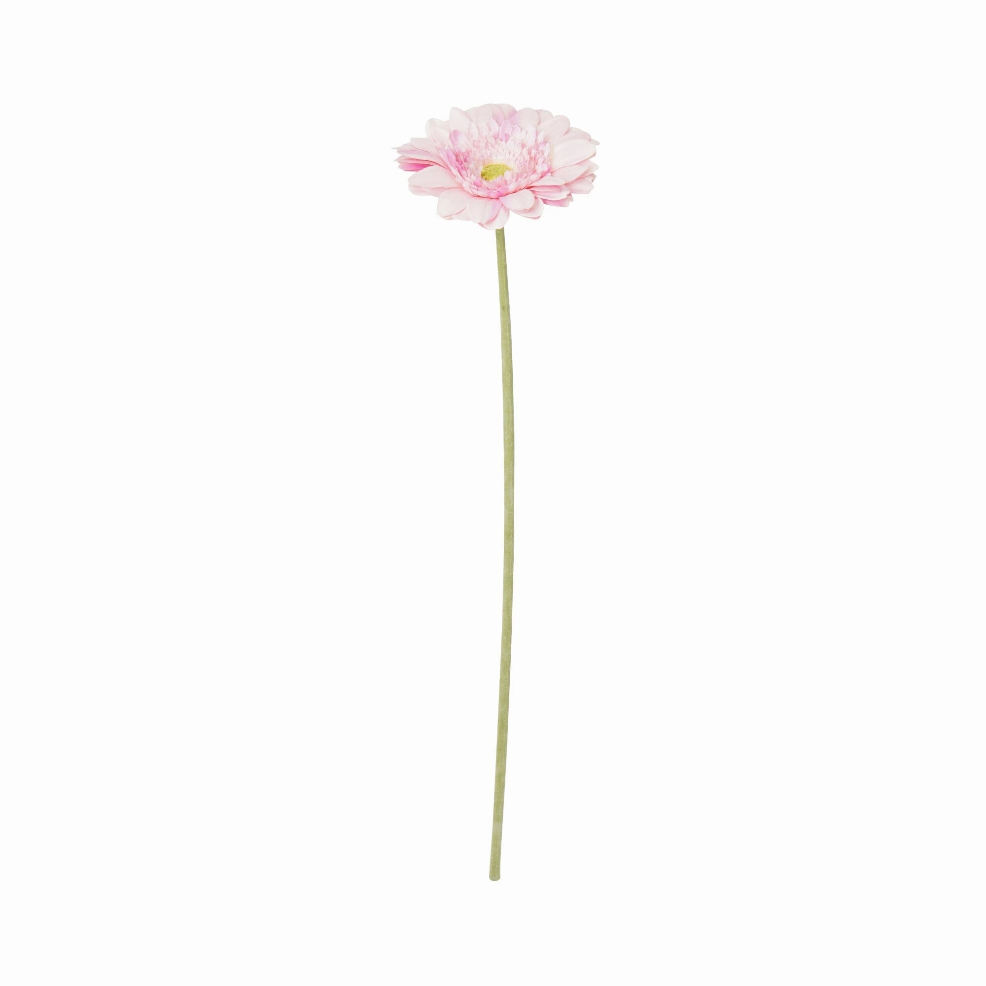 Art Flower Gerbera Large Light Pinkhome decor ,wall decor 