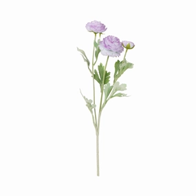 Art Flower Graceful Ranunculus Purplehome decor ,wall decor 