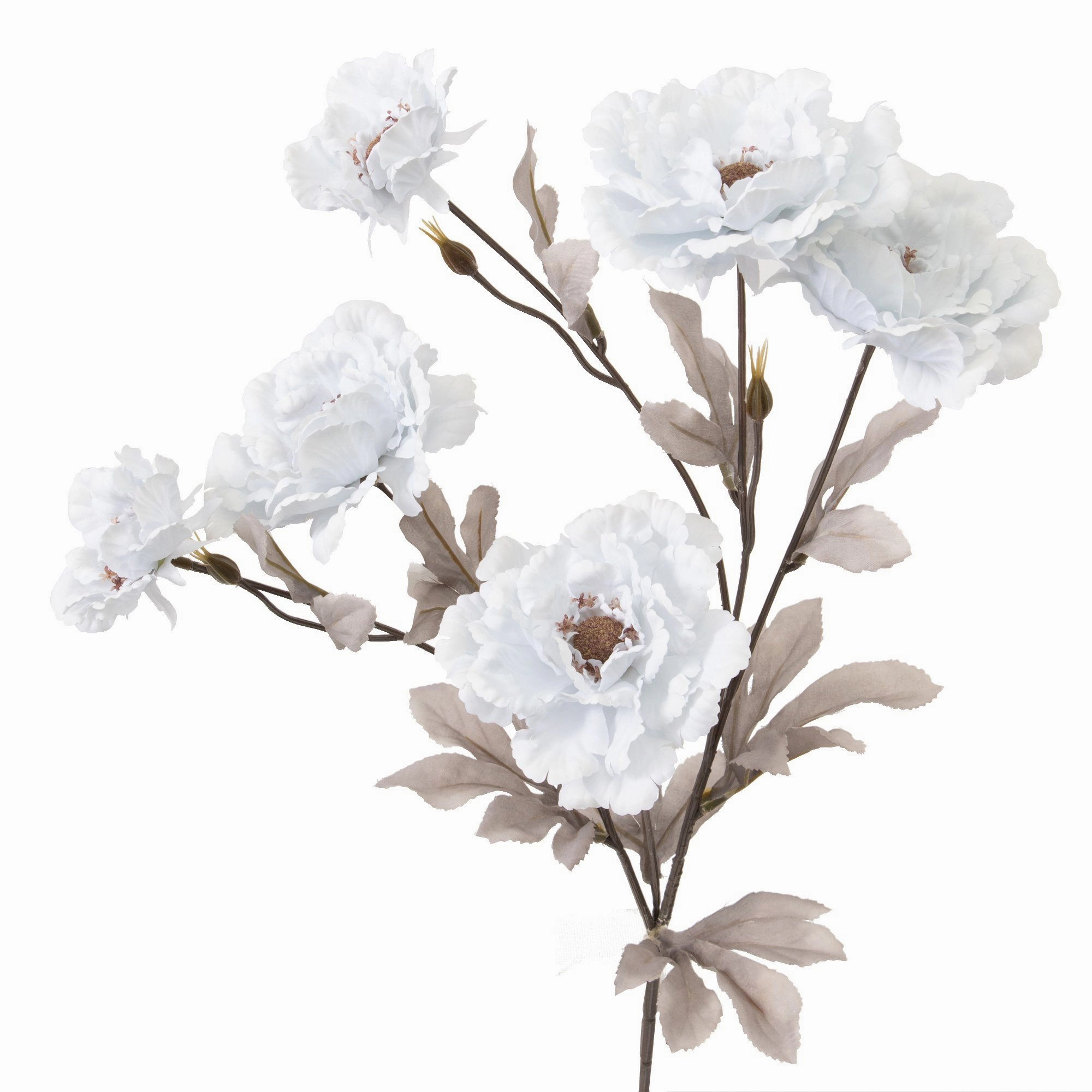 Art Flower Lotuspeony Light Blue