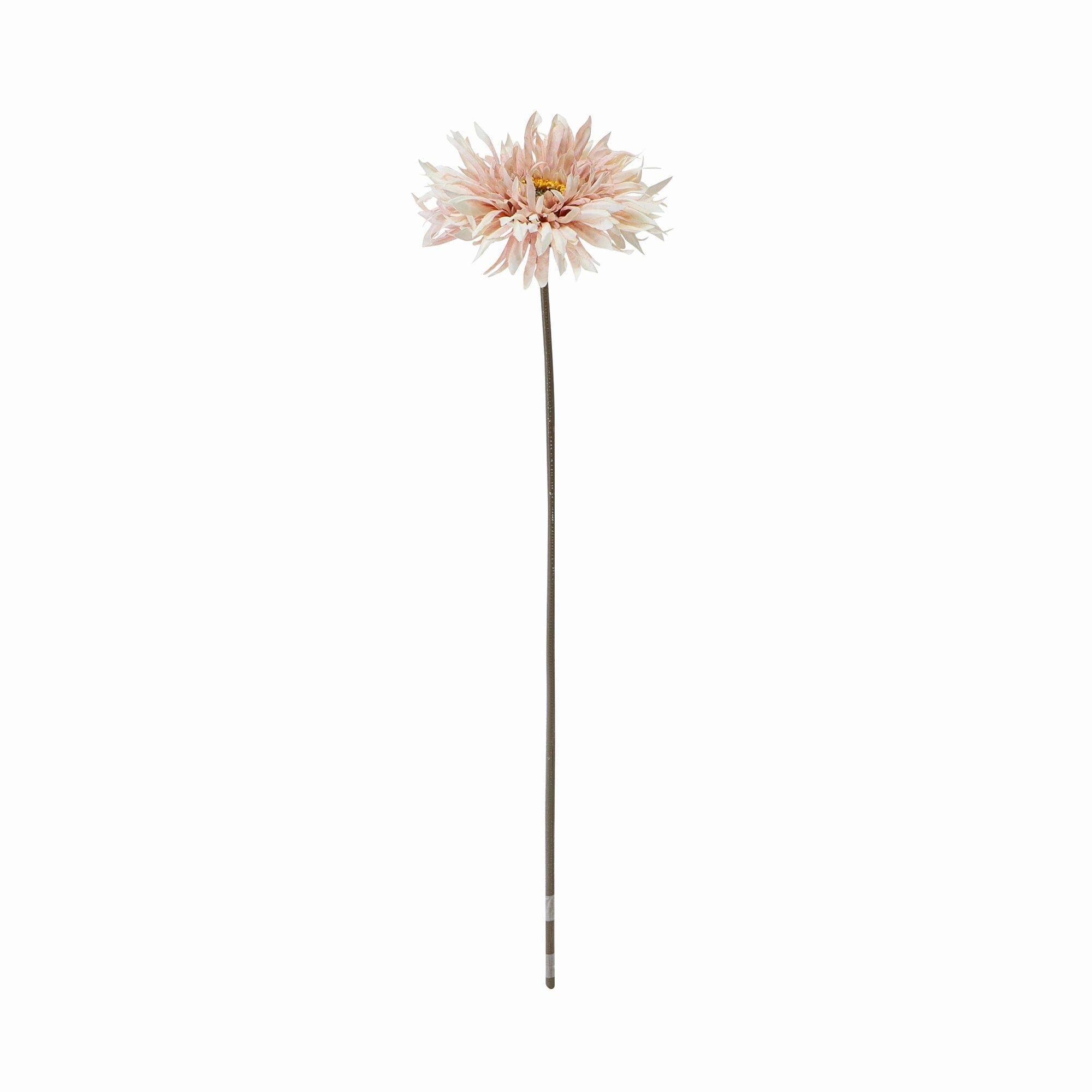Art Flower Natural Gerbera Light Pinkhome decor ,wall decor 