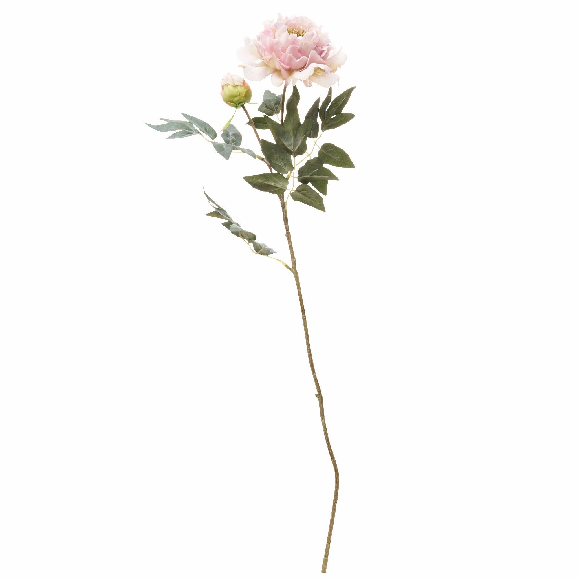Art Flower Peony Pinkhome decor ,wall decor 