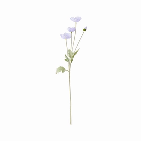 Art Flower Poppy S Purplehome decor ,wall decor 