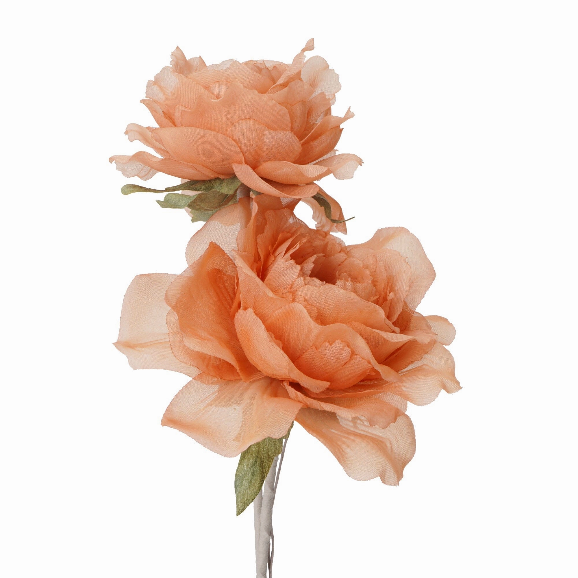 Art Flower Sheer Rose Orange
