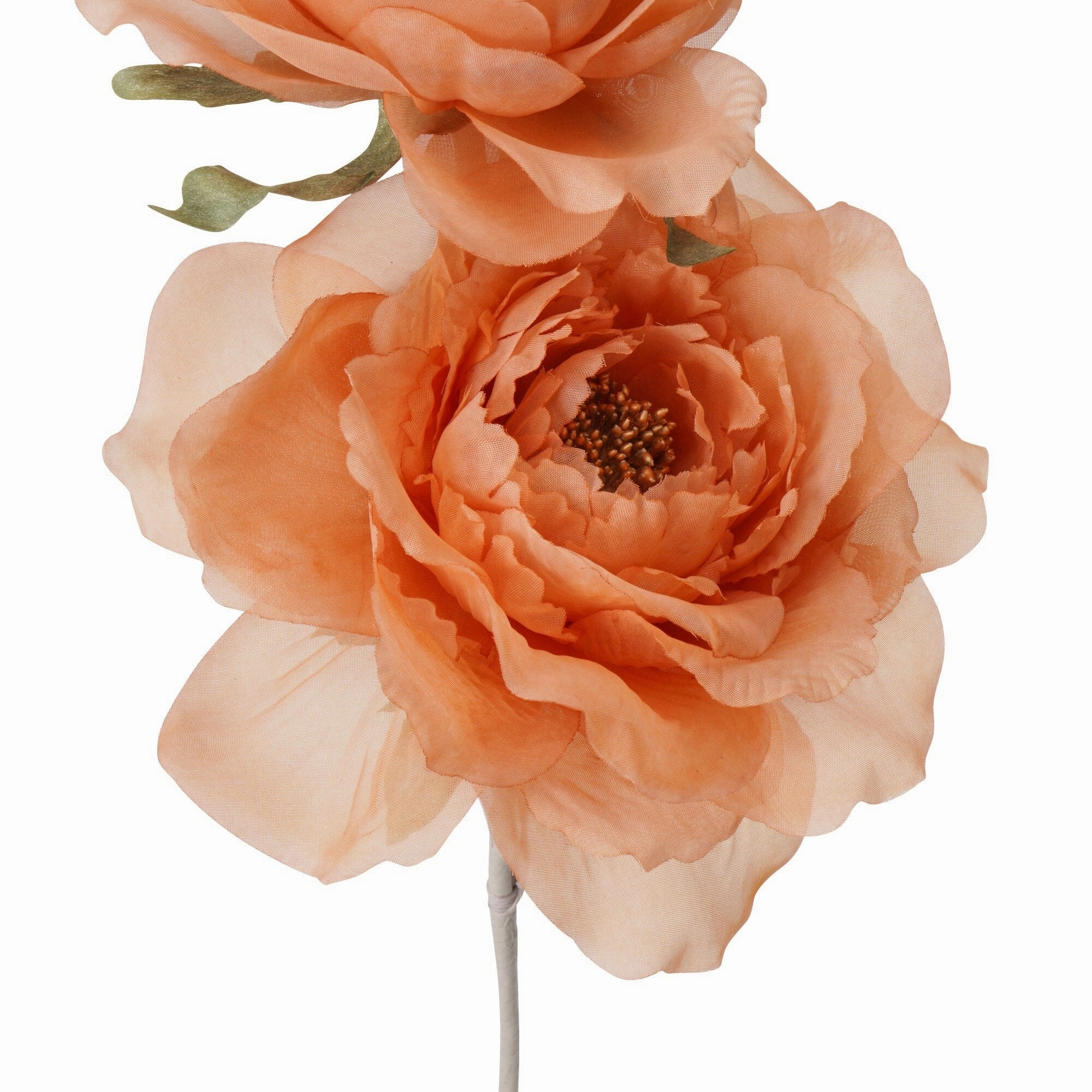 Art Flower Sheer Rose Orange
