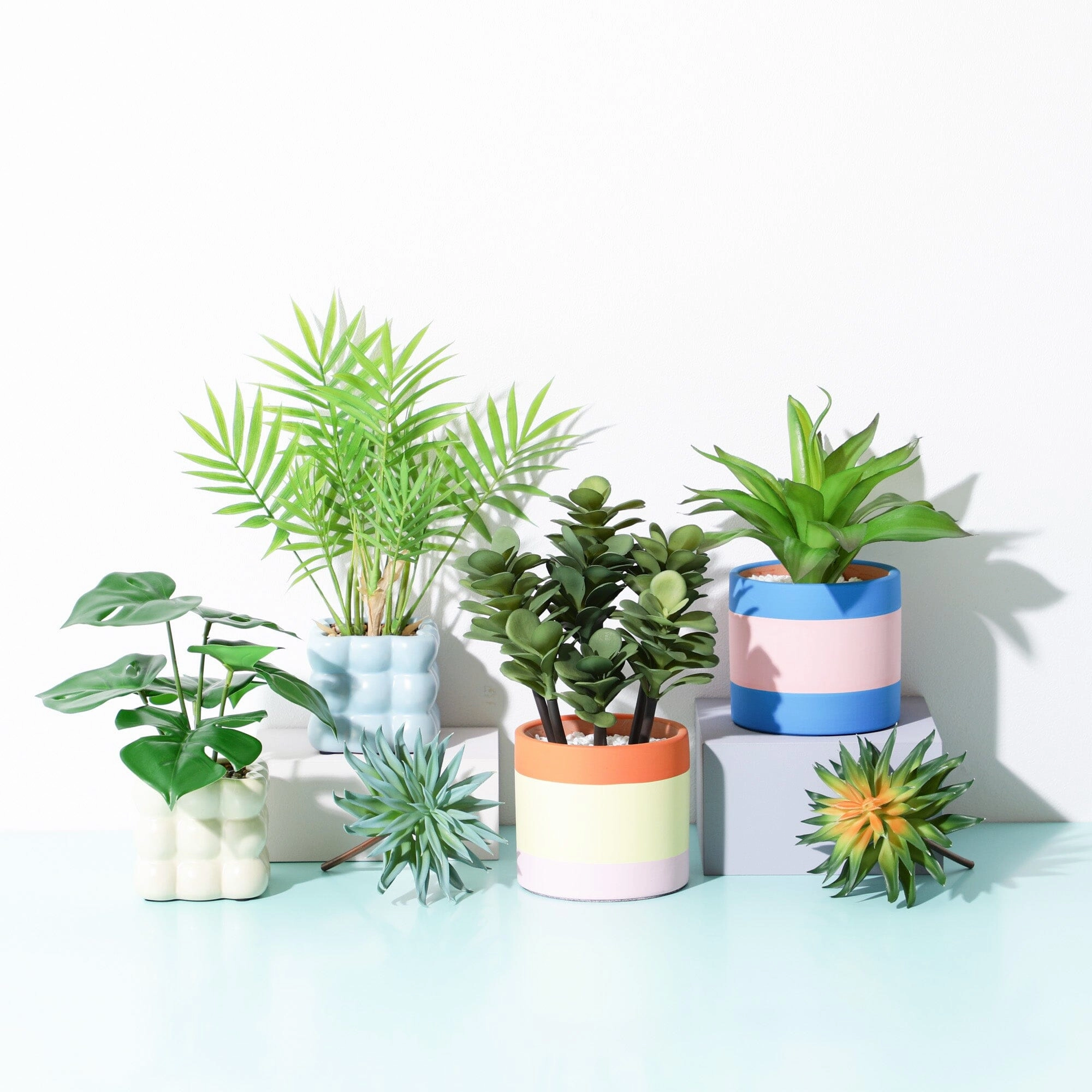 Art Green & Pot Monstera