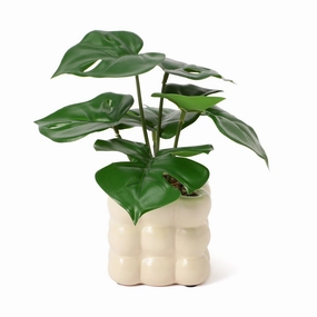 Art Green & Pot Monsterahome decor ,wall decor 
