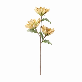 Art Plant Flower Yellowhome decor ,wall decor 