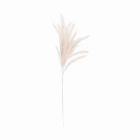 Art Plant Pampas Light Pinkhome decor ,wall decor 