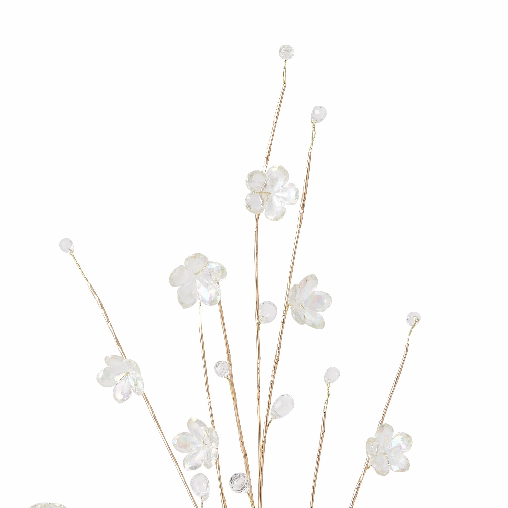 Art Plants Flower Beads Aurora