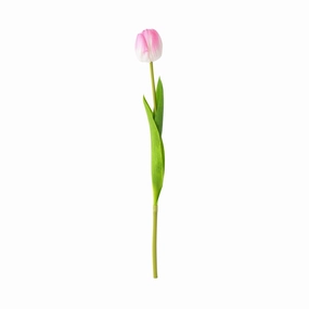 Artflower Real Touch Tulip  Light Pinkhome decor ,wall decor 