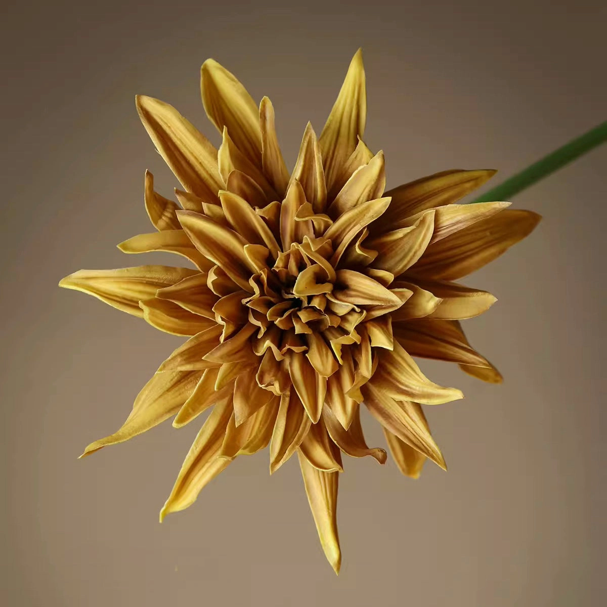 Artificial Dahlia and Poppies Stems