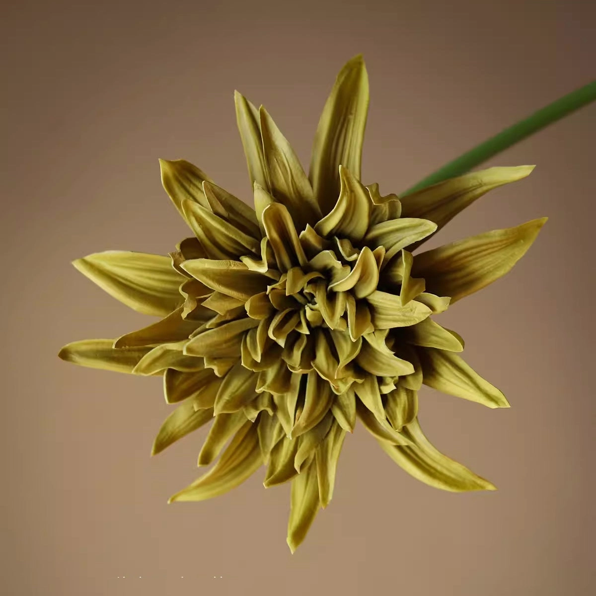 Artificial Dahlia and Poppies Stems
