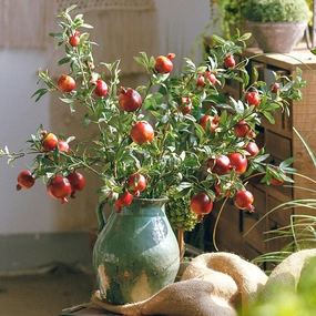 Artificial Pomegranate Fruit Planthome decoration ,modern home decor 
