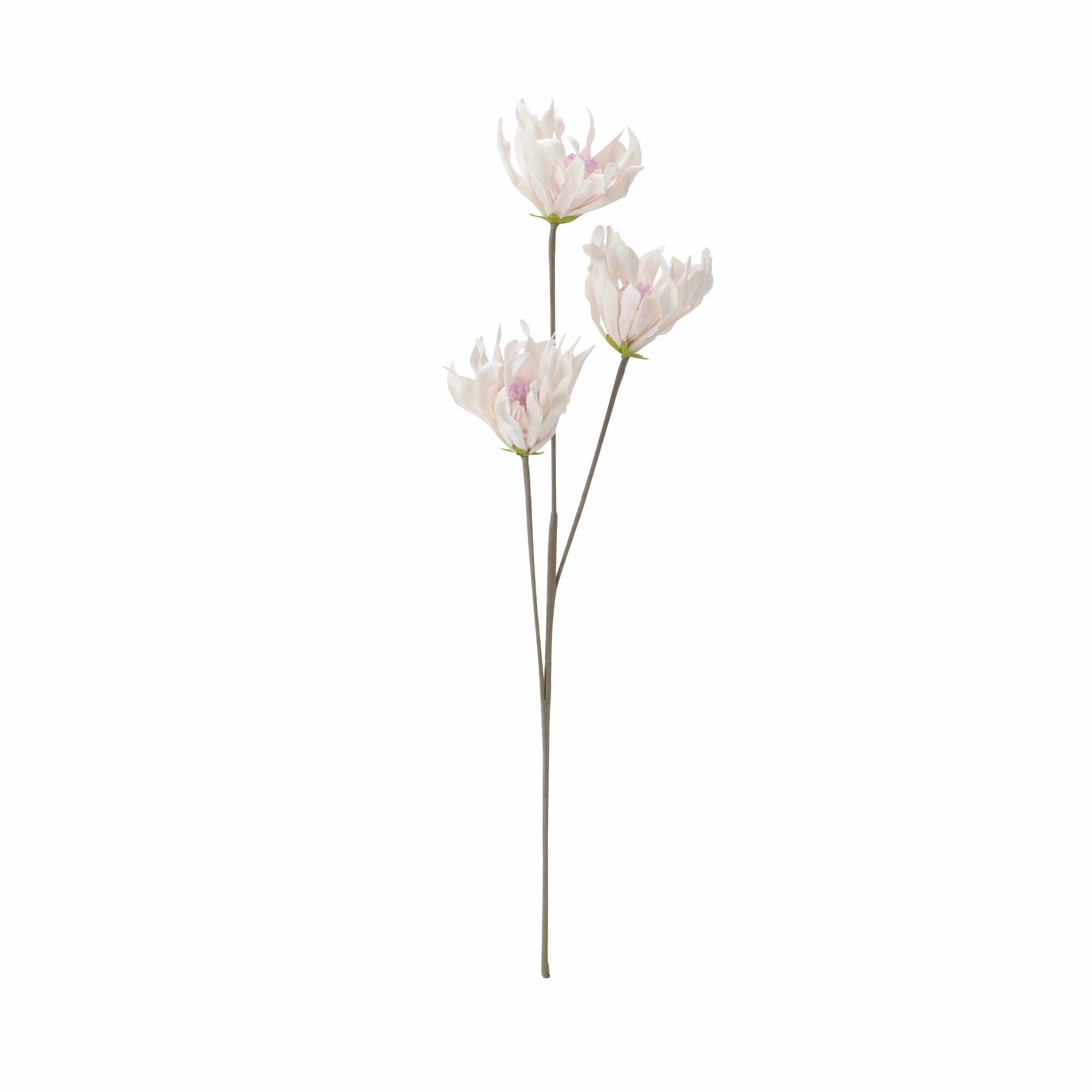 Artplants Mom  Pinkhome decor ,wall decor 