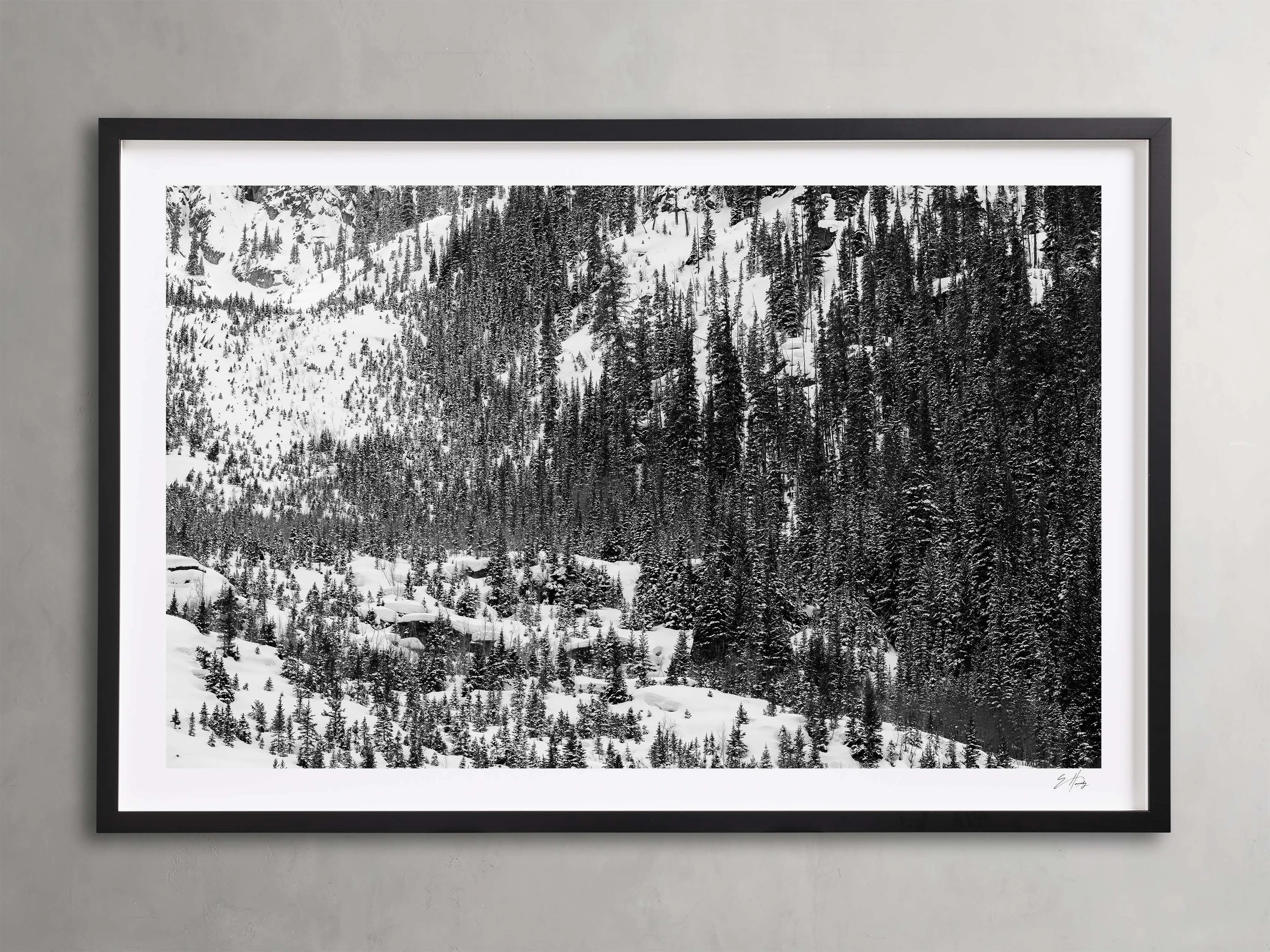 Aspen Allure I Framed Printhome decor ,wall decor 