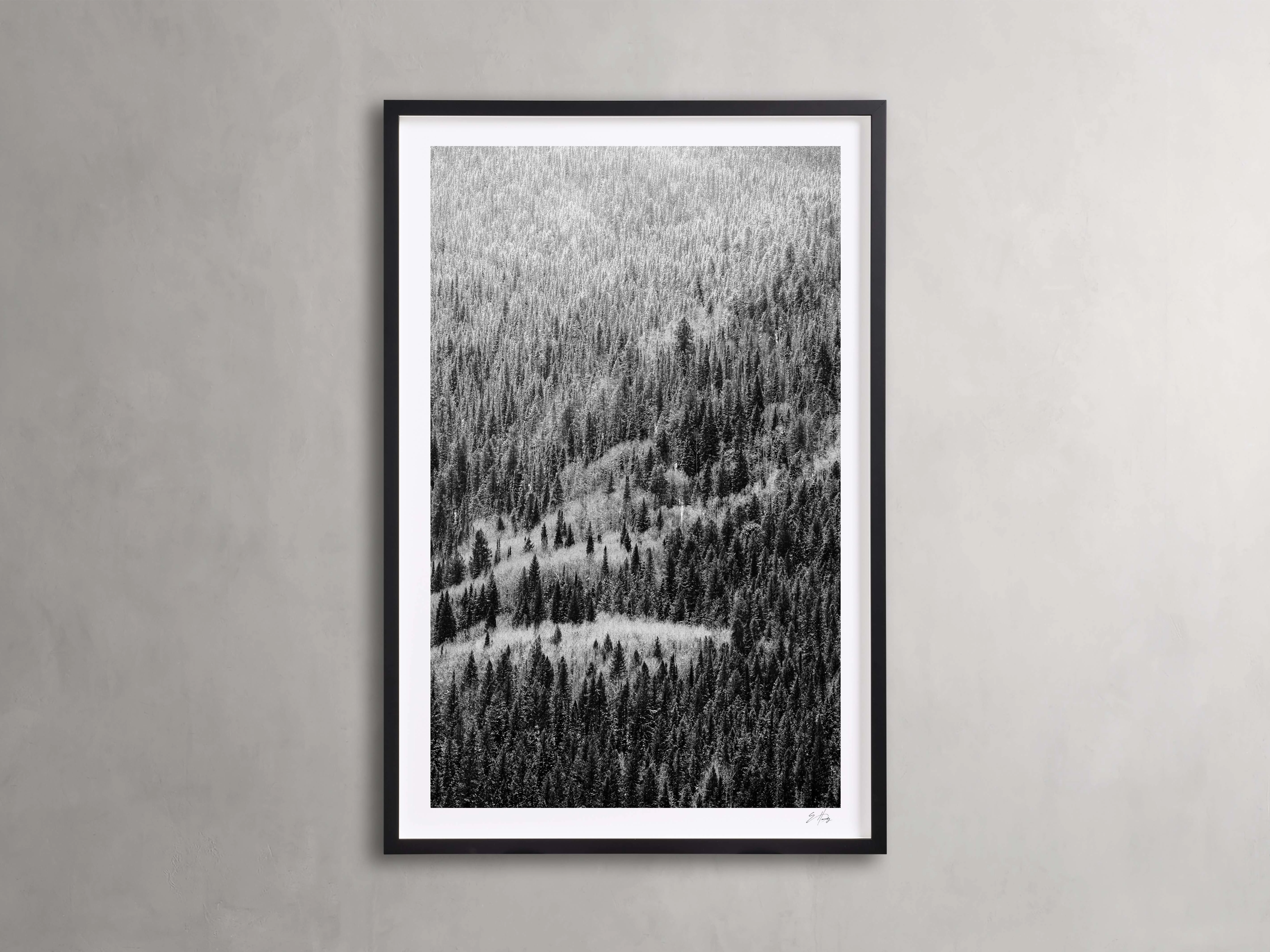 Aspen Allure II Framed Printnordic style wall decor