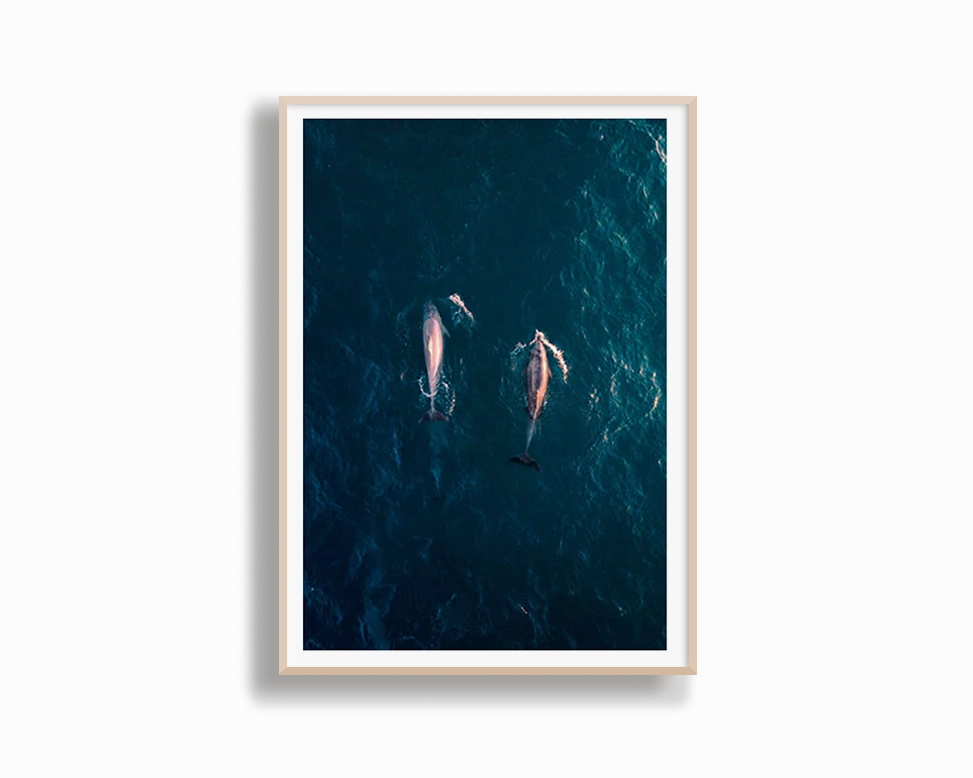 Avalon Beach