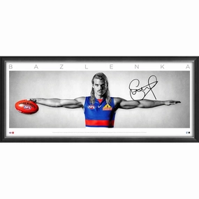 BAILEY SMITH SIGNED WINGShandmade souvenirs