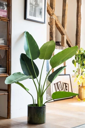Beautiful Faux Ravenala Artificial Plantdecorative vase ,Modern Ceramic Vase for Home Decoration 