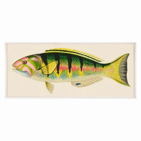 Bennet Fish 3nordic style wall decor