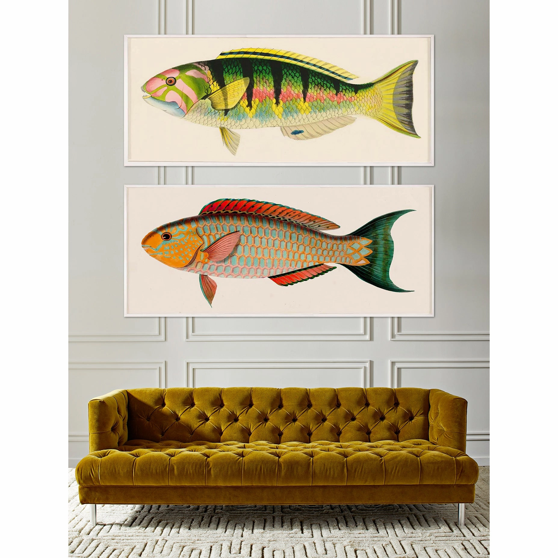 Bennet Fish 3