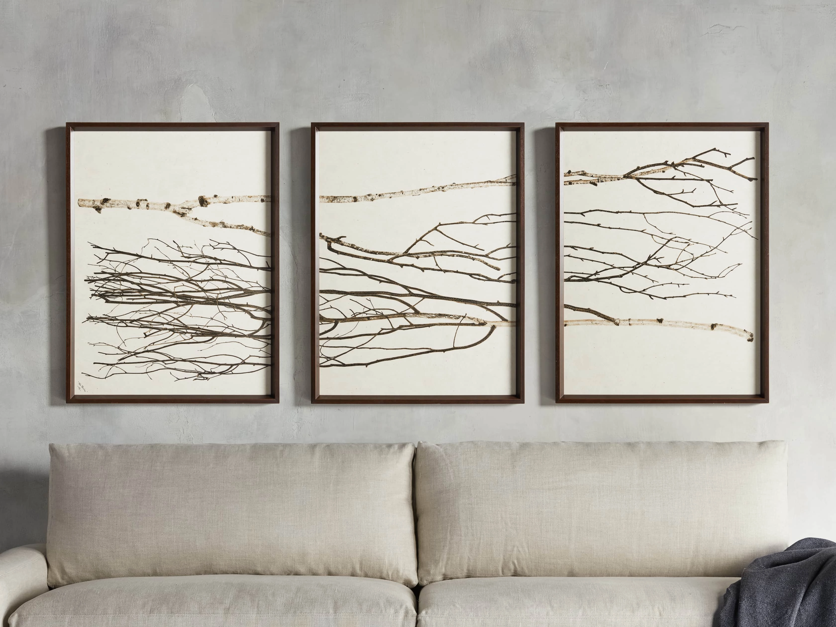 Birch Framed Print (Set of 3)nordic style wall decor