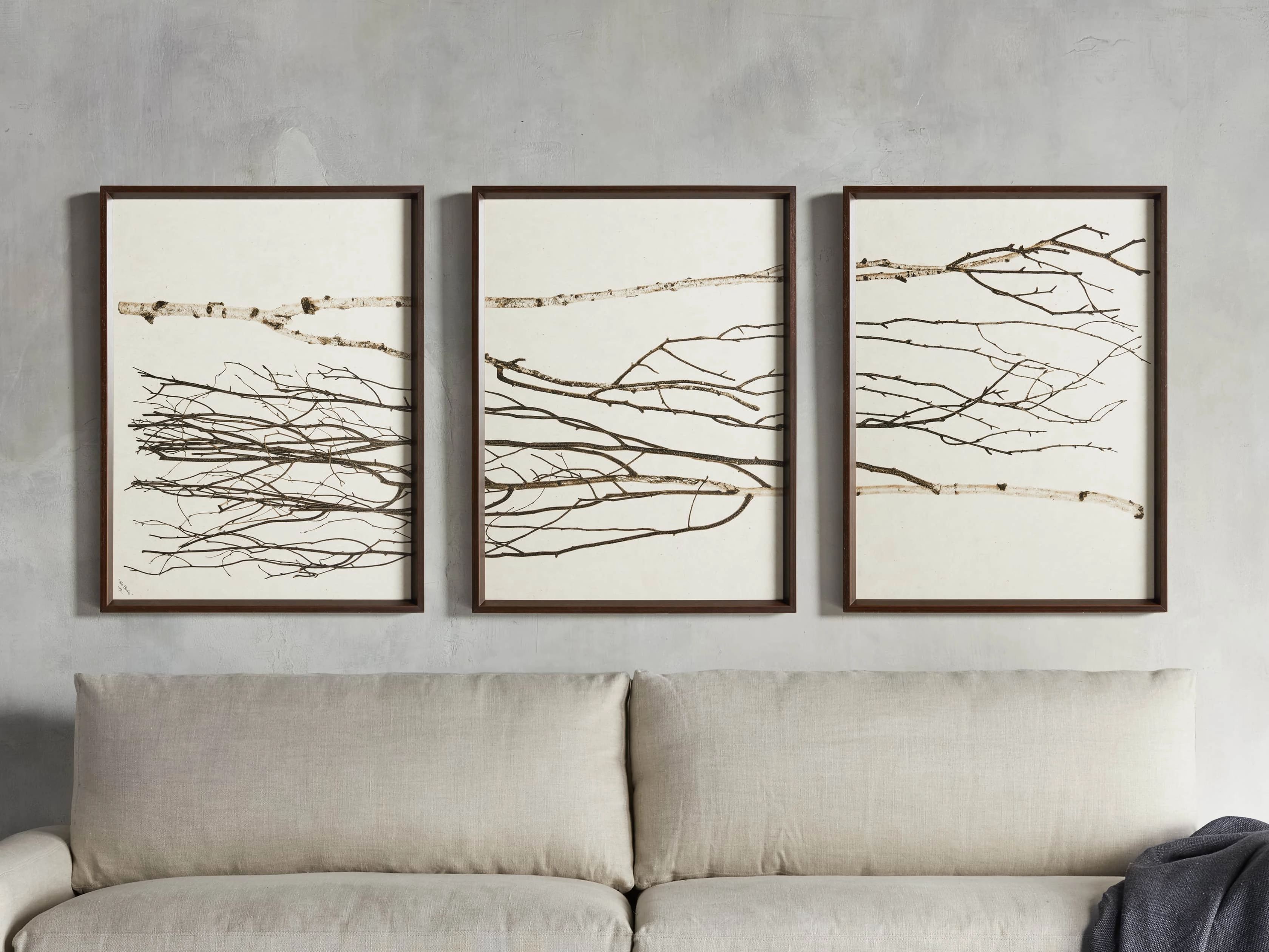 Birch Framed Print (Set of 3)home decor ,wall decor 