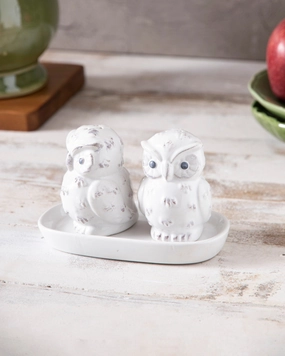 Bird Salt & Pepper Shaker Set - Whitemodern kitchen decor ,kitchen dinner set ,dinnerware 