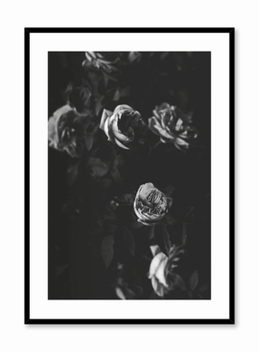 Black & Rose Movie, Posterpop culture themed posters