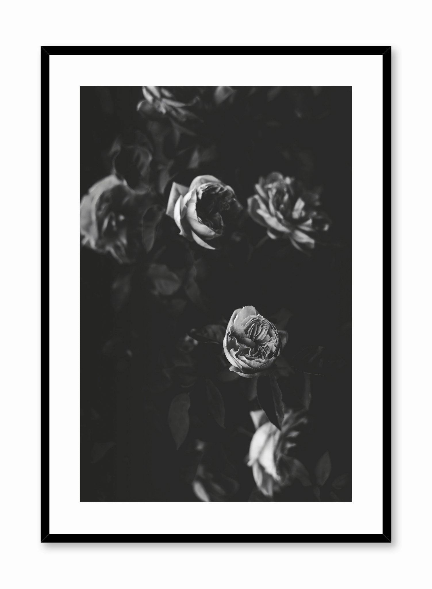 Black & Rose Movie, Posterpop culture themed posters