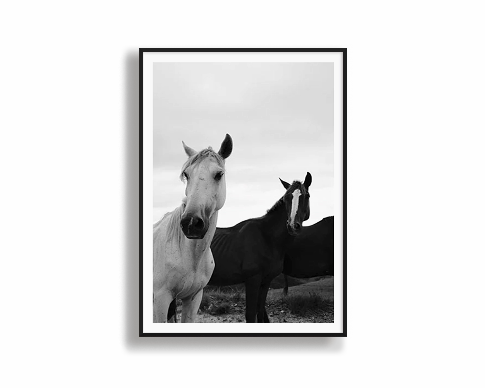 Black & White Stallionsnordic style wall decor