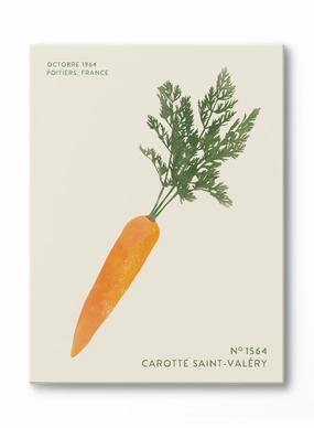 Block Print Carrot, Canvasindoor decorative canvas print