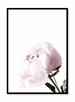 Bloom, Posterpop culture themed posters