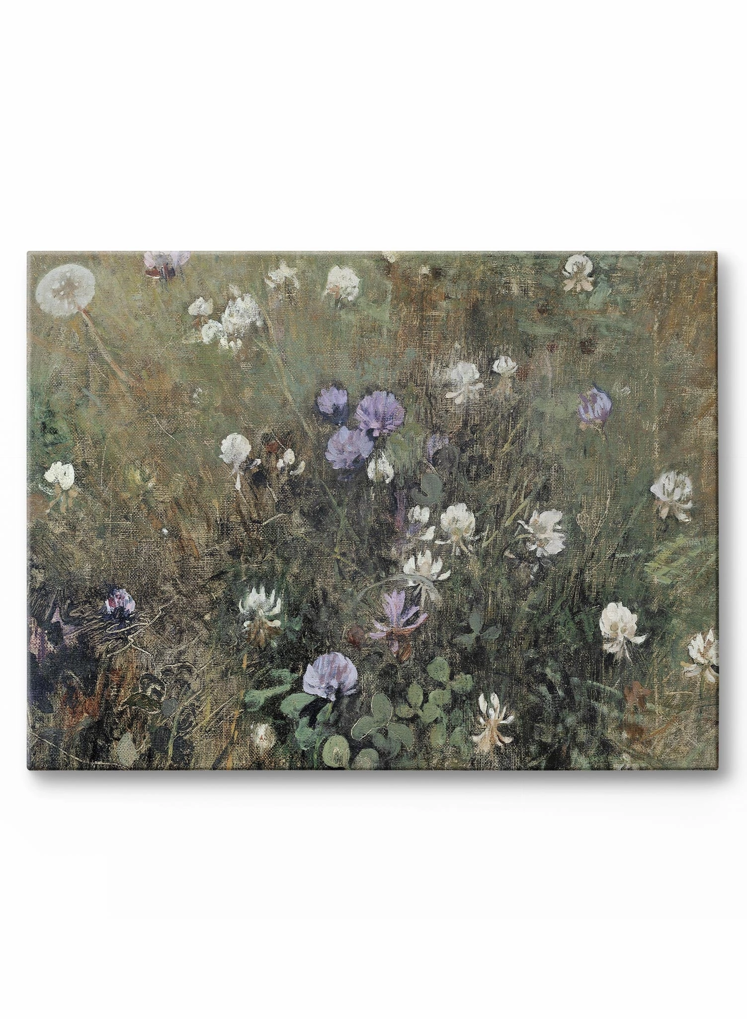 Blooming Clover, Canvasindoor decorative canvas print