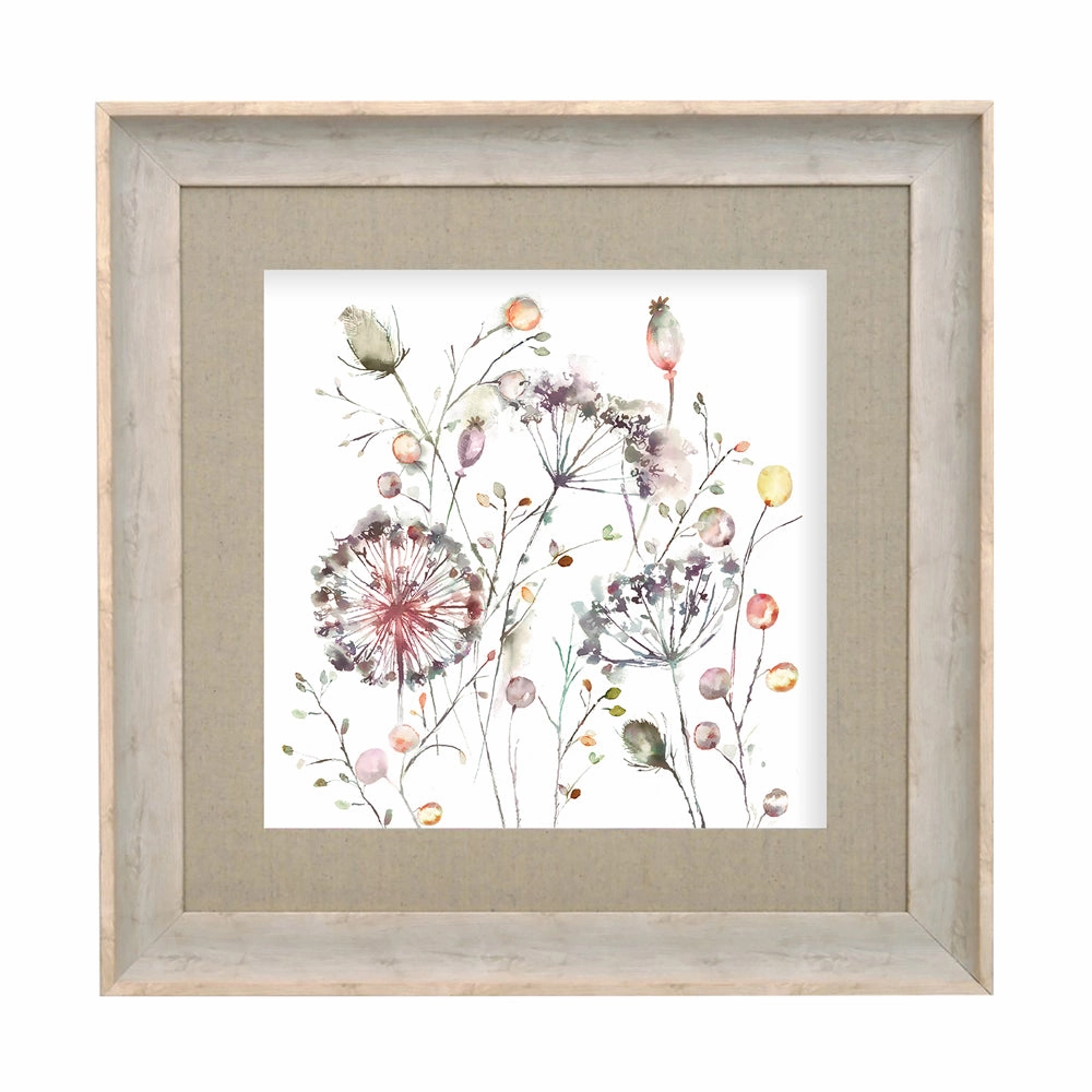 Boronia Framed Print Birch